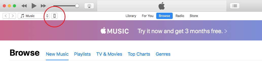iTunes Device Icon